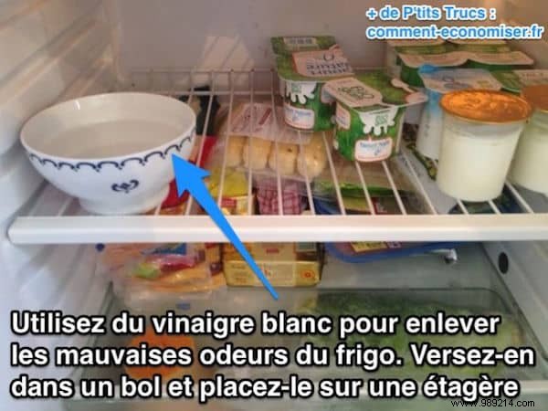 10 Proven Natural Tips to Eliminate Stubborn Fridge Odors