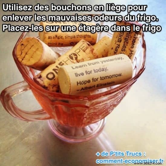 10 Proven Natural Tips to Eliminate Stubborn Fridge Odors