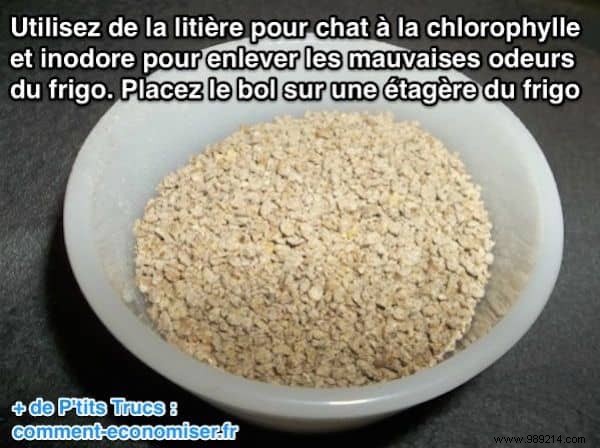 10 Proven Natural Tips to Eliminate Stubborn Fridge Odors