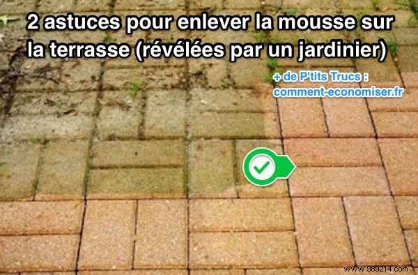 2 Proven Natural Tips to Remove Moss from Your Terrace – Gardener Approved