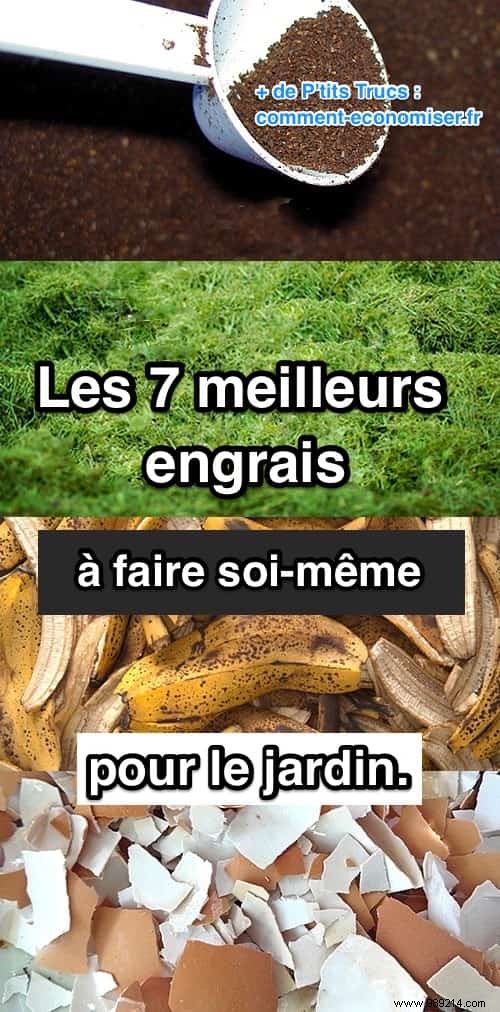 7 Best Homemade Garden Fertilizers: Natural Boosters from Kitchen Scraps