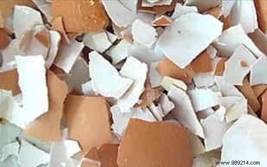 7 Best Homemade Garden Fertilizers: Natural Boosters from Kitchen Scraps