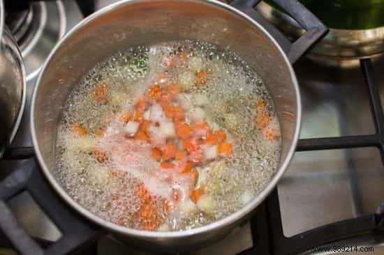 7 Best Homemade Garden Fertilizers: Natural Boosters from Kitchen Scraps