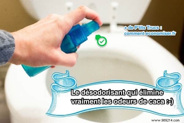 DIY Natural Toilet Spray: Eliminate Bathroom Odors Effectively Before They Spread