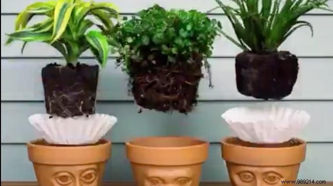 Prevent Soil Loss in Flower Pots: The Coffee Filter Trick Every Gardener Needs