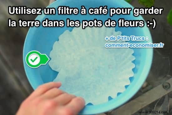 Prevent Soil Loss in Flower Pots: The Coffee Filter Trick Every Gardener Needs