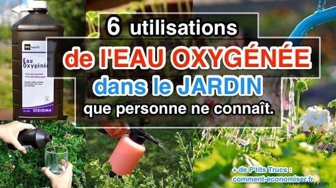 6 Proven Ways to Use Hydrogen Peroxide in Your Garden