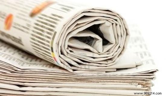 6 Proven Natural Traps to Eliminate Earwigs from Your Home and Garden