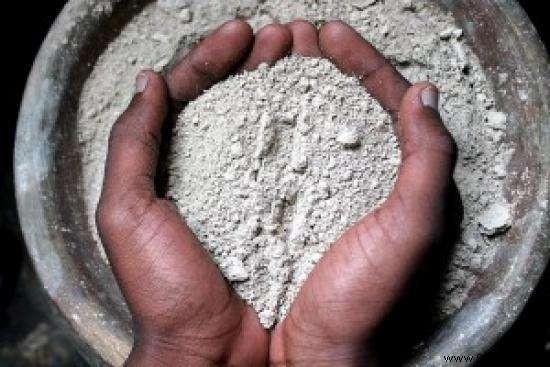 6 Proven Natural Traps to Eliminate Earwigs from Your Home and Garden