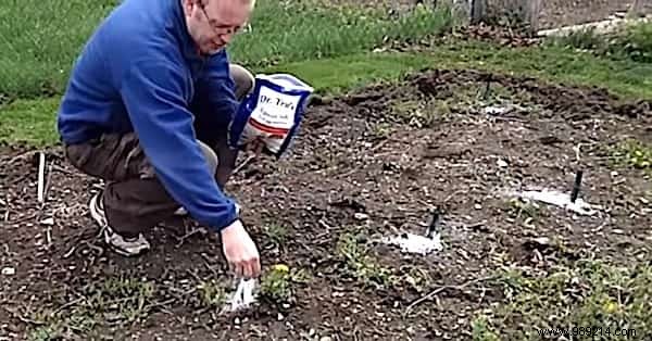 8 Proven Natural Ingredients to Supercharge Your Tomato Harvest