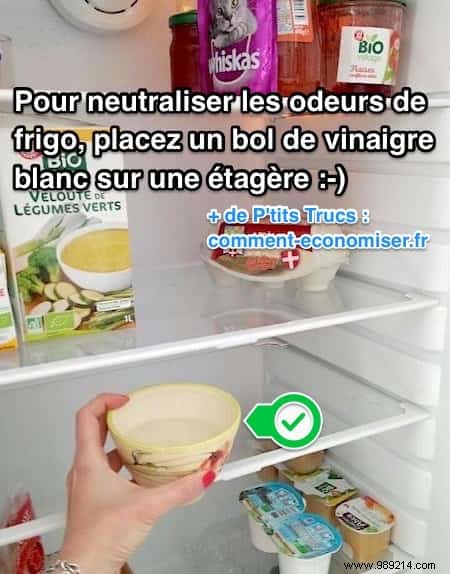 Eliminate Fridge Odors Naturally: The Proven White Vinegar Trick