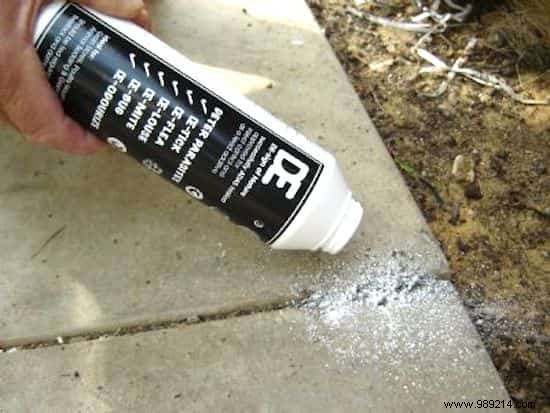 4 Proven Natural Ways to Banish Ants from Your Home Safely