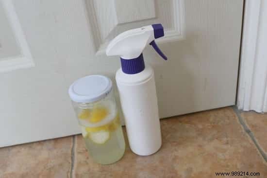 4 Proven Natural Ways to Banish Ants from Your Home Safely