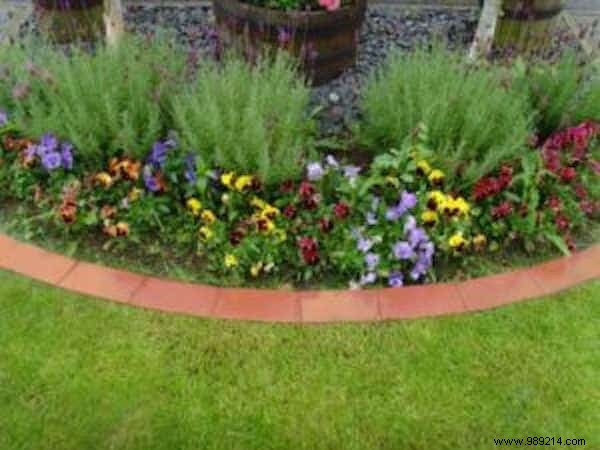 11 Stunning DIY Garden Borders: Easy, Affordable Ideas from a Seasoned Landscaper