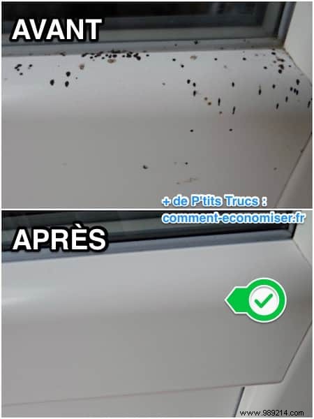 Effortless Fly Droppings Removal: The Proven White Vinegar Cleaning Trick