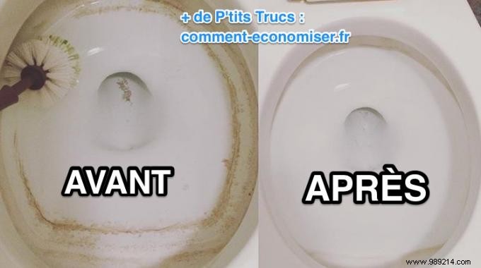 Eliminate Toilet Limescale Naturally: 5 Proven White Vinegar Cleaning Recipes