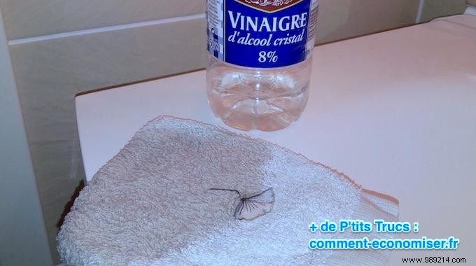 Ditch Store-Bought Deodorants: White Vinegar as a Proven Natural Alternative