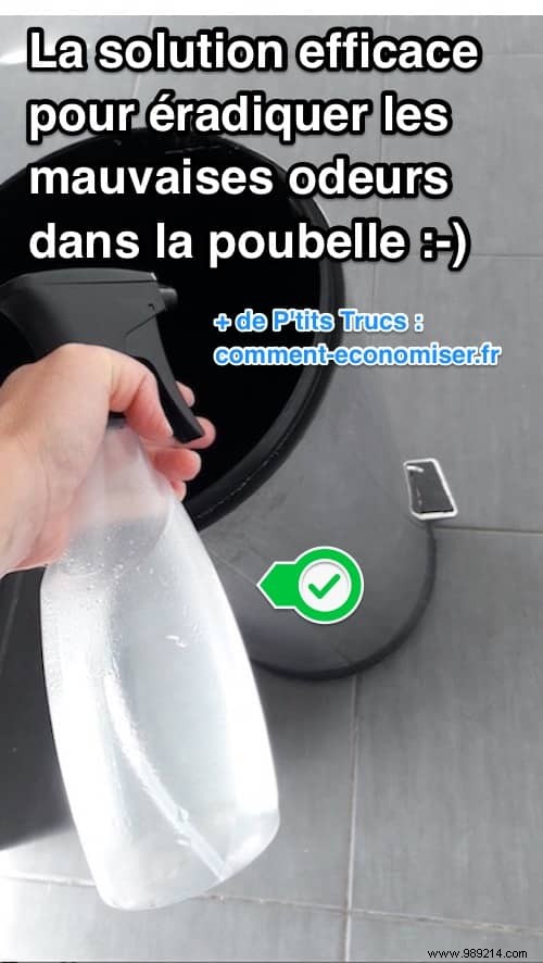 Eliminate Trash Bin Odors with This Proven White Vinegar Method