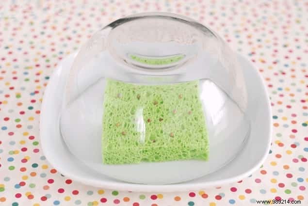 14 Genius Ways to Repurpose Sponges Around Your Home