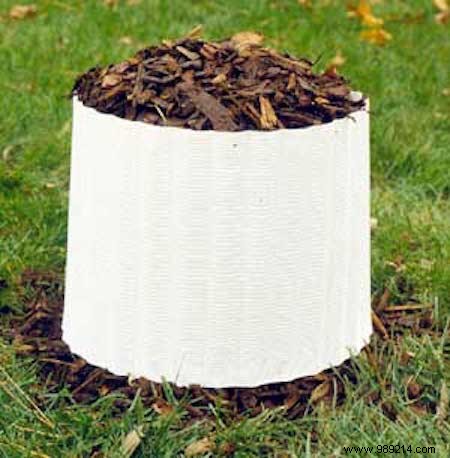 How to Protect Your Roses from Winter Frost: Proven Natural Methods