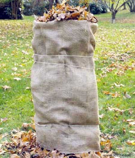 How to Protect Your Roses from Winter Frost: Proven Natural Methods