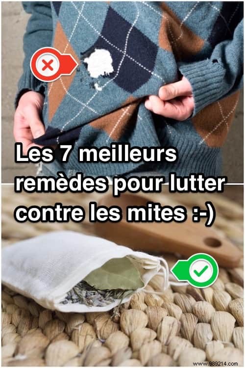 7 Proven Natural Remedies to Stop Moths from Ruining Your Clothes