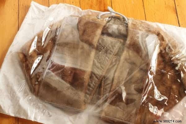 7 Proven Natural Remedies to Stop Moths from Ruining Your Clothes