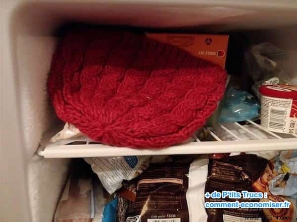 7 Proven Natural Remedies to Stop Moths from Ruining Your Clothes