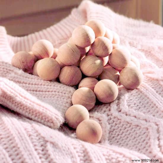 7 Proven Natural Remedies to Stop Moths from Ruining Your Clothes