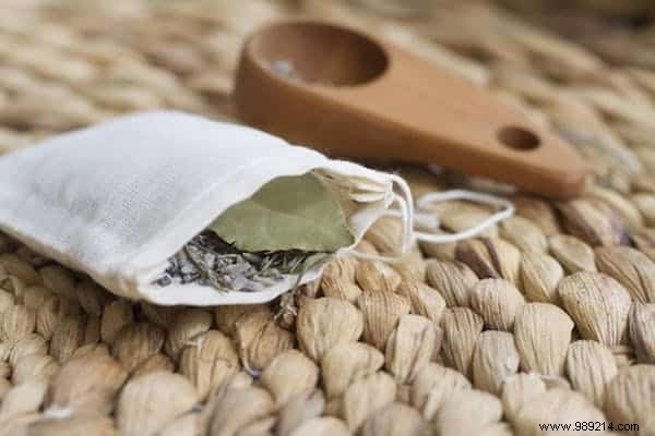 7 Proven Natural Remedies to Stop Moths from Ruining Your Clothes