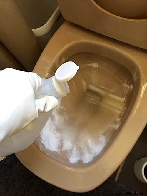 10-Second 100% Natural Toilet Bowl Cleaner: Proven Homemade Recipe for Spotless Results