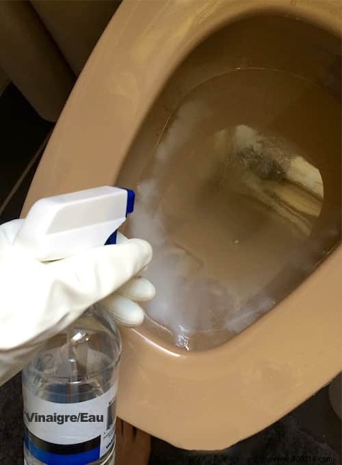 10-Second 100% Natural Toilet Bowl Cleaner: Proven Homemade Recipe for Spotless Results