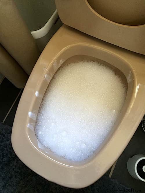 10-Second 100% Natural Toilet Bowl Cleaner: Proven Homemade Recipe for Spotless Results