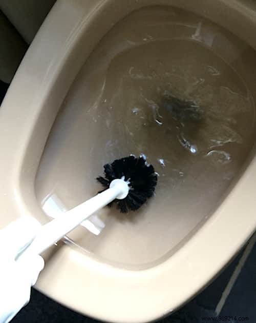 10-Second 100% Natural Toilet Bowl Cleaner: Proven Homemade Recipe for Spotless Results