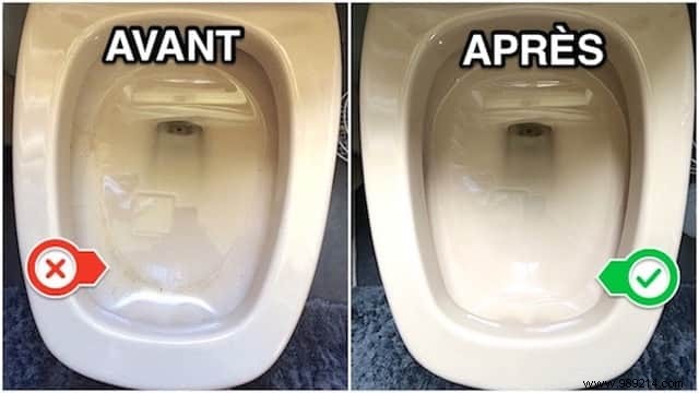10-Second 100% Natural Toilet Bowl Cleaner: Proven Homemade Recipe for Spotless Results