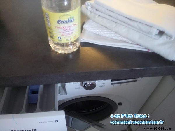 7 Proven Reasons to Add White Vinegar to Your Washing Machine