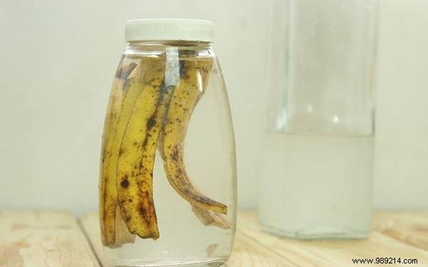 13 Proven Uses for Banana Peels: Eco-Friendly Hacks for Gardening, Cleaning, and Health