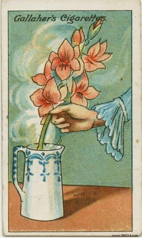 69 Timeless Life Hacks from 1910s Cigarette Cards: Proven Tips Still Relevant Today