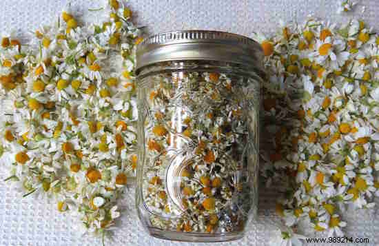 61 Time-Tested Grandmother s Home Remedies That Really Work – Don t Miss #38