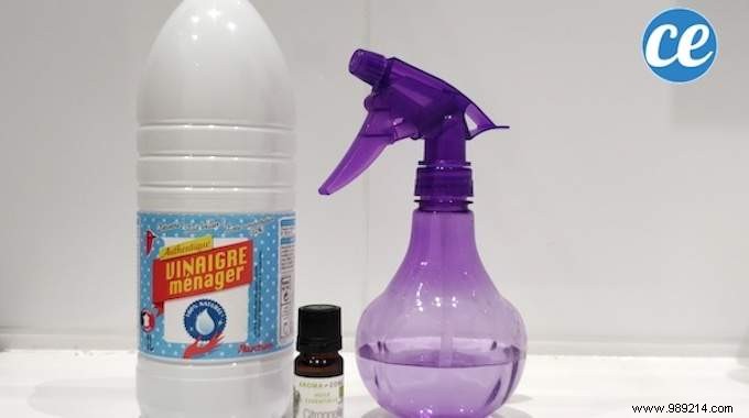 DIY Natural Air Freshener for €0.50: More Effective Than Febreze