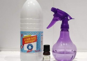 DIY Natural Air Freshener for €0.50: More Effective Than Febreze