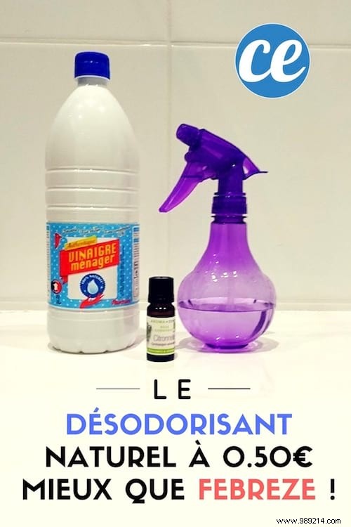 DIY Natural Air Freshener for €0.50: More Effective Than Febreze