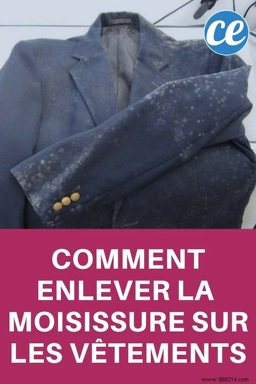 How to Easily Remove Mildew Stains from Clothes: Expert Tips for Every Fabric