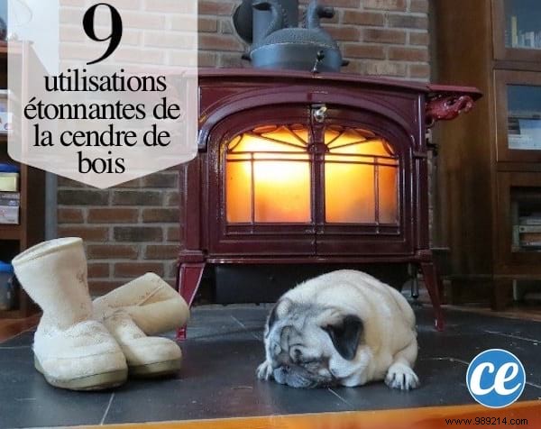 9 Practical Ways to Repurpose Wood Ash from Your Fireplace