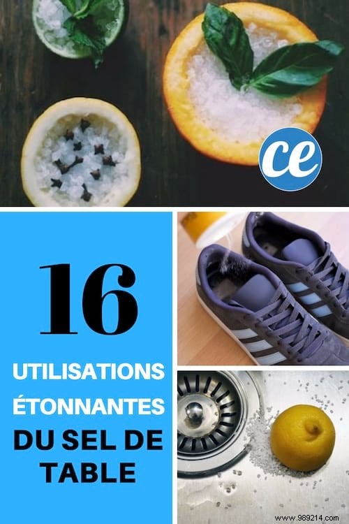 16 Ingenious Table Salt Uses for Home and Kitchen – #11 Is a Game-Changer