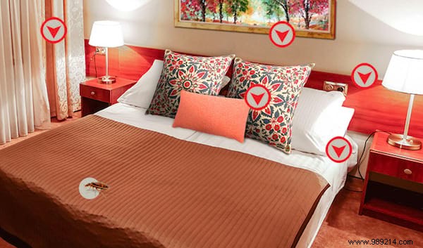 Expert Guide: Eliminate Bed Bugs at Home Quickly with Proven, Pesticide-Free Methods