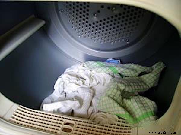 Expert Guide: Eliminate Bed Bugs at Home Quickly with Proven, Pesticide-Free Methods