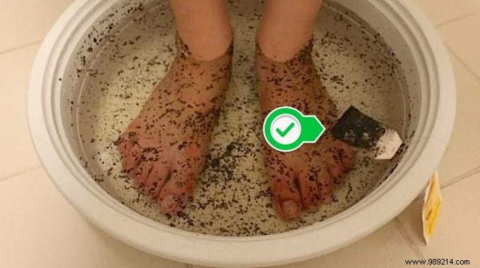 25 Proven Ways to Repurpose Used Tea Bags for Health, Home, Kitchen, and Garden