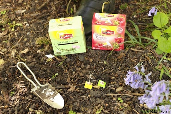 25 Proven Ways to Repurpose Used Tea Bags for Health, Home, Kitchen, and Garden