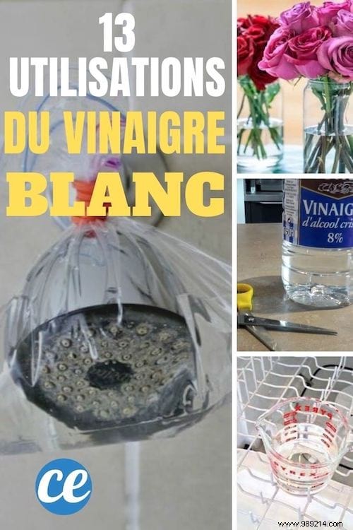 13 Proven Ways to Use White Vinegar for a Spotless, Budget-Friendly Home